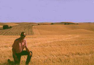 The Ford farmland near Pullman Washington